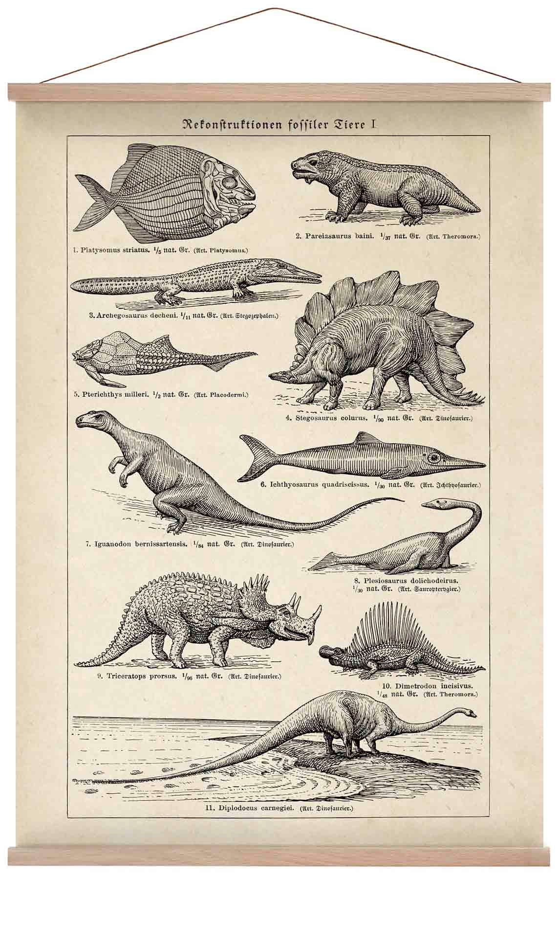 Antique Dinosaurs and Fossils