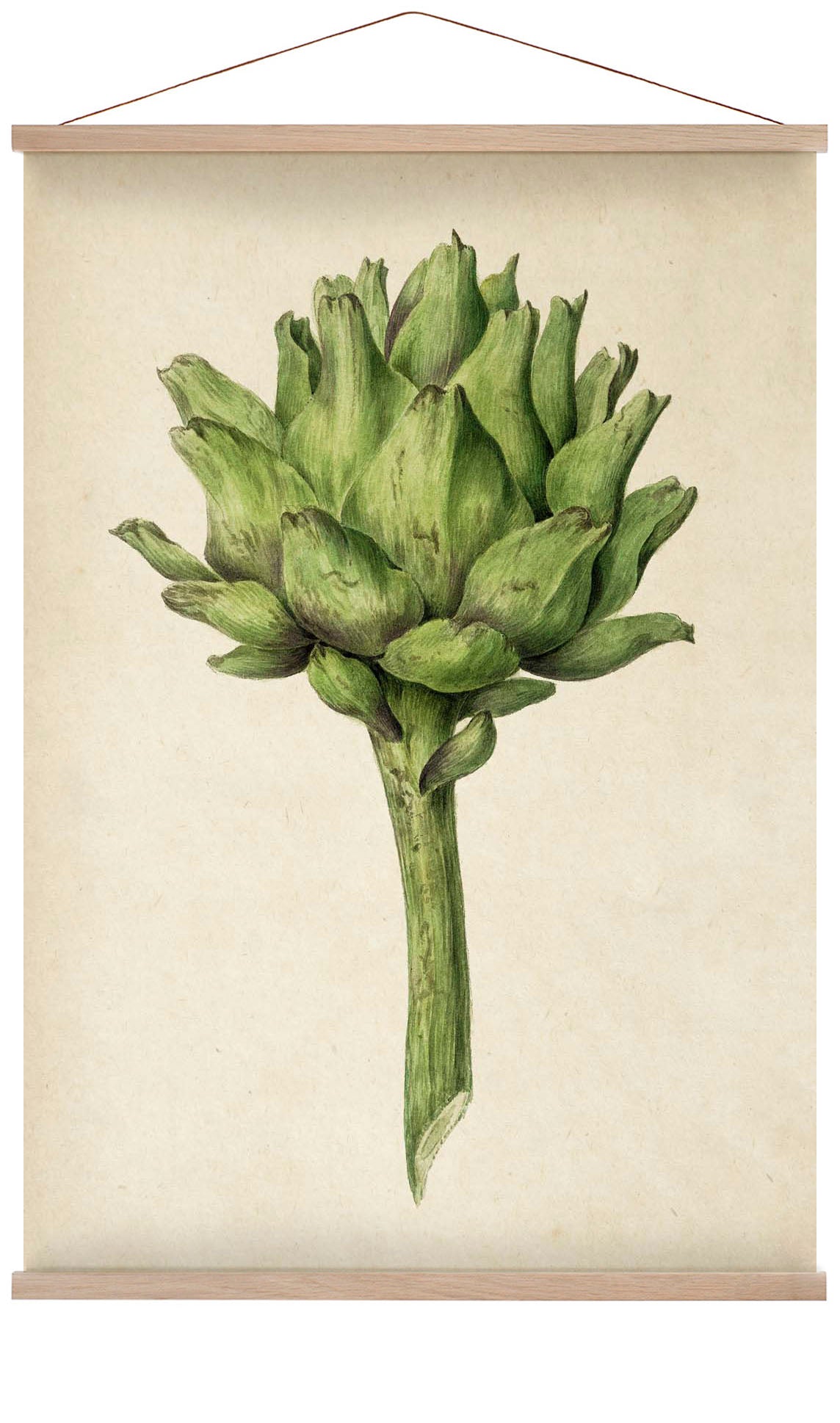 Antique Artichoke