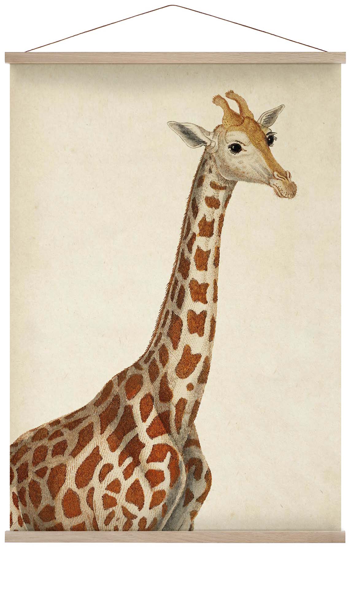 Antique Giraffe
