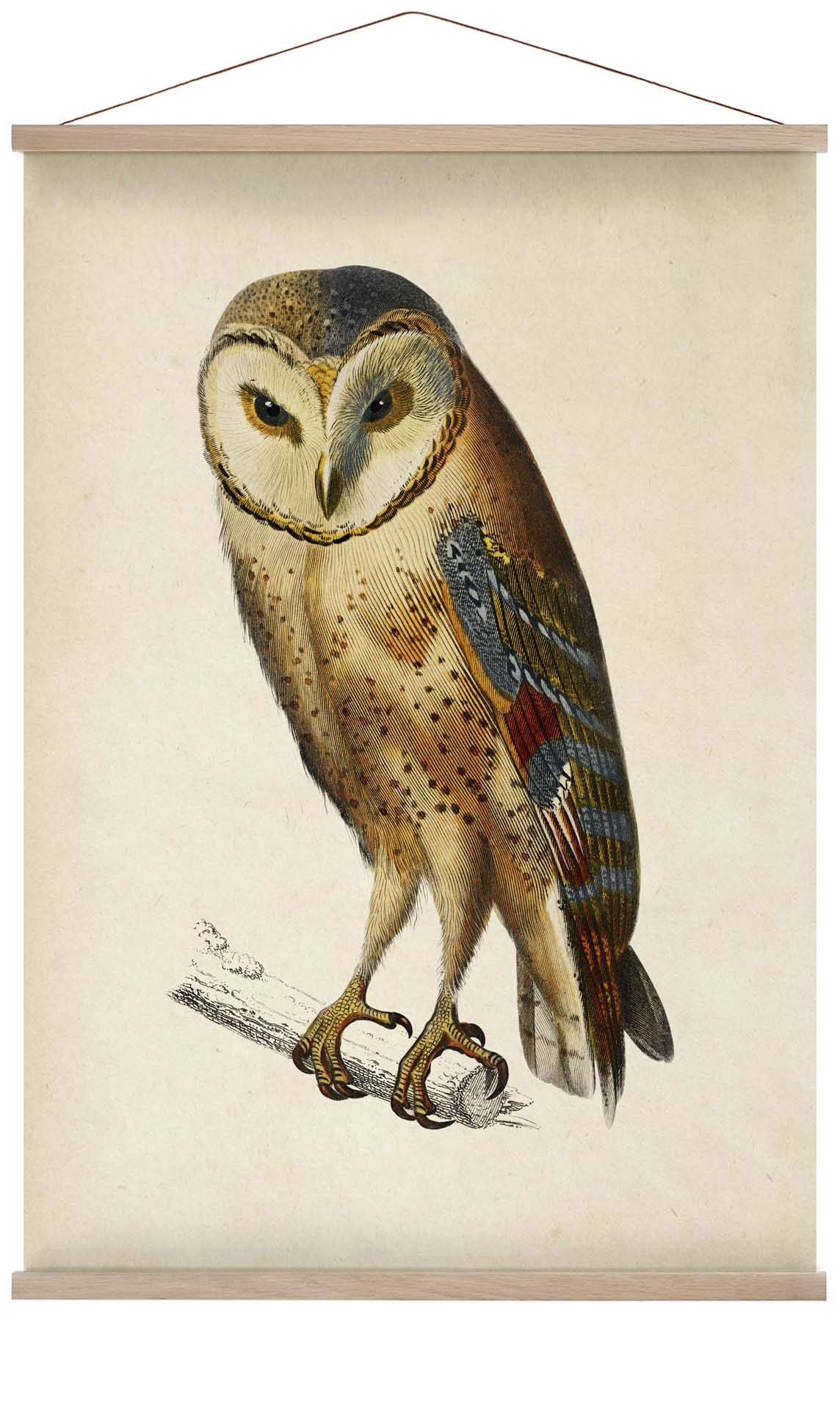Antique Owl