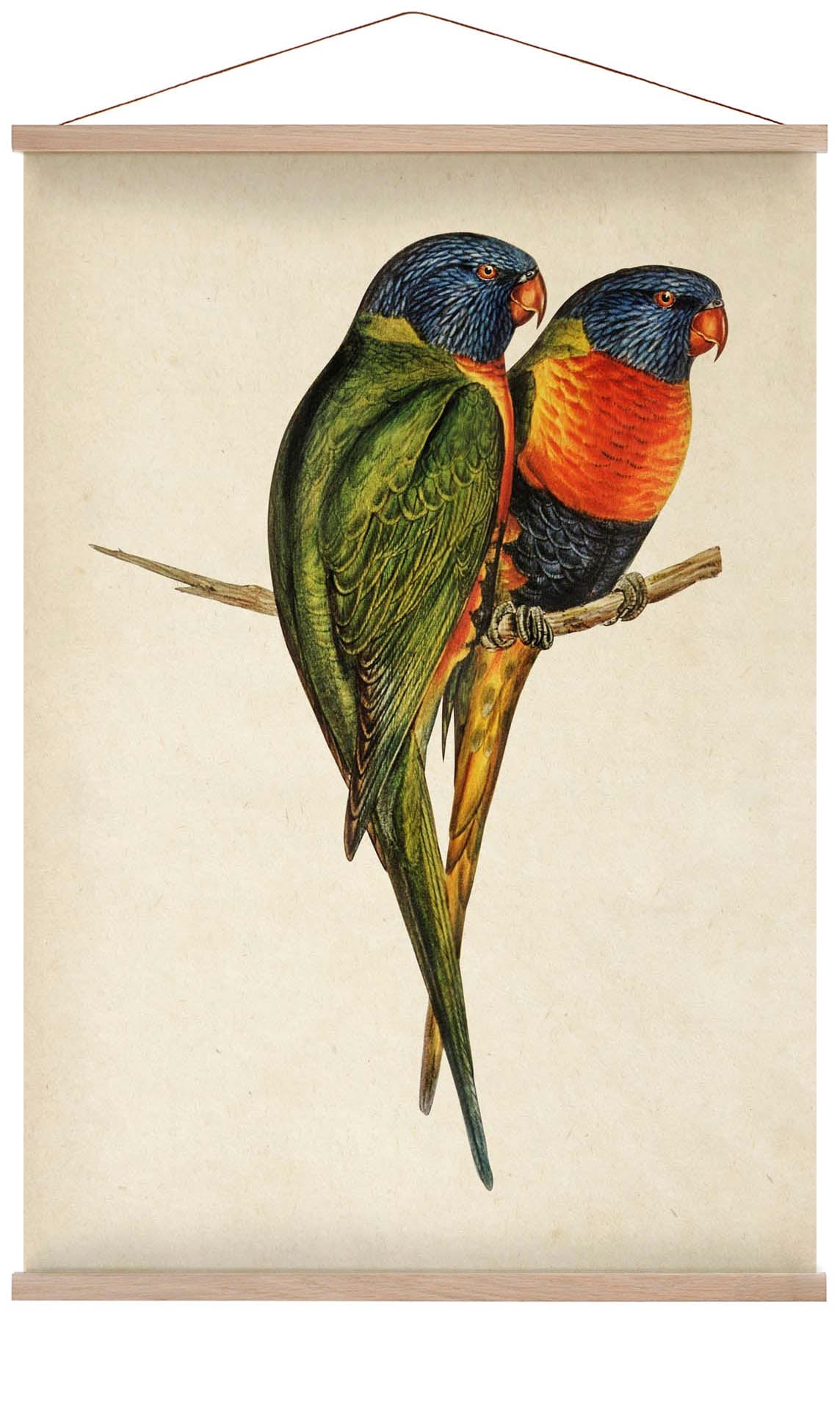 Antique Colorful Parrots