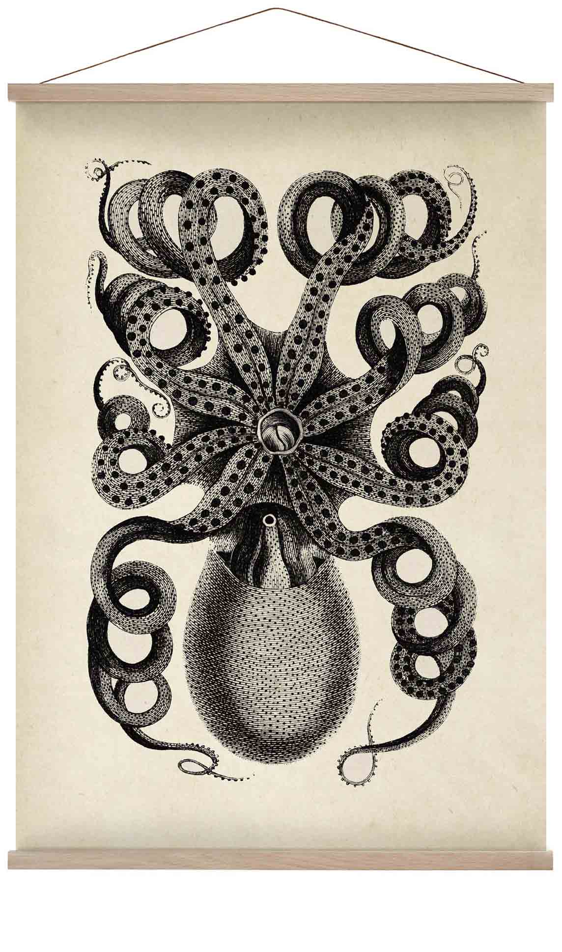 Antique Octopus I