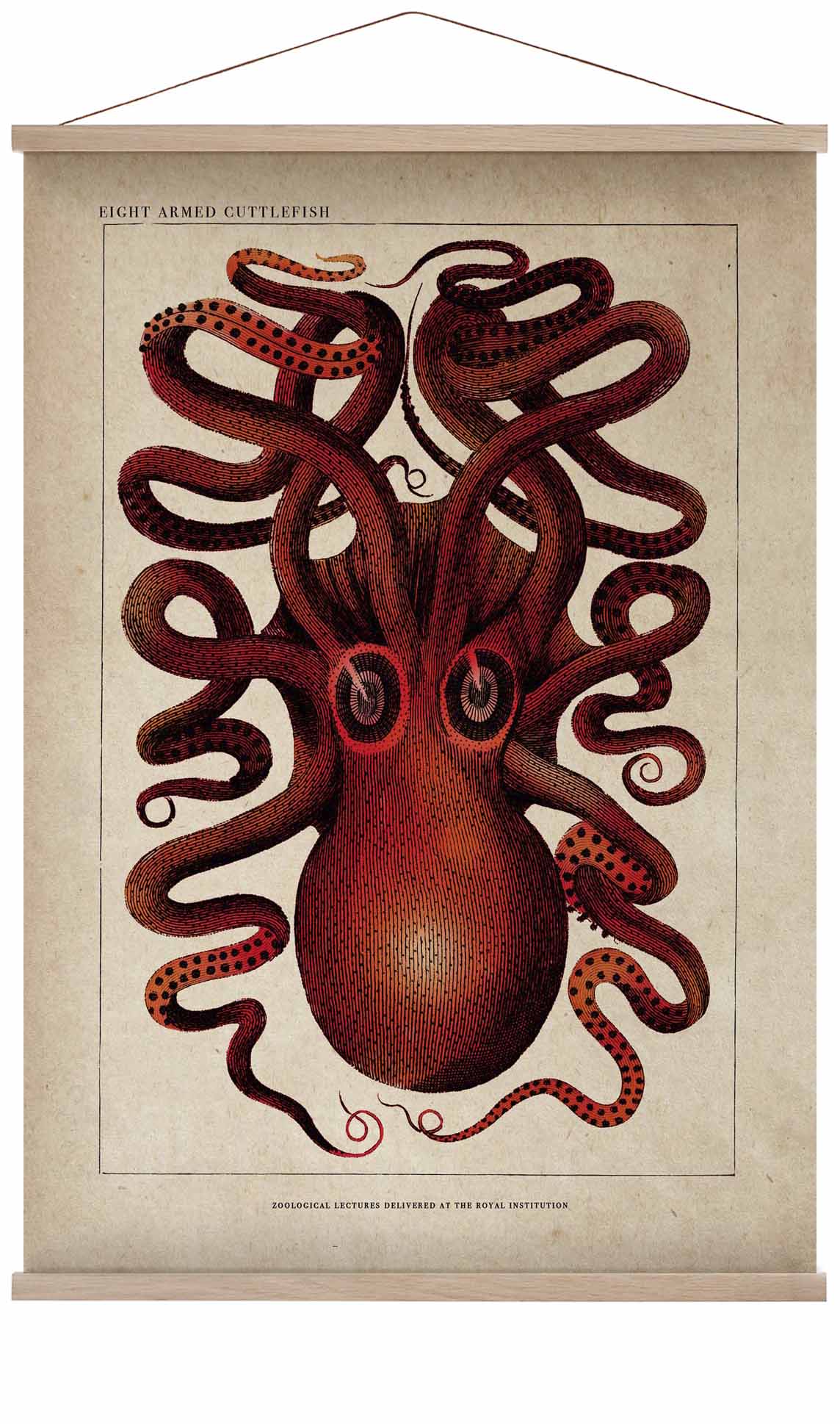 Antique Red Octopus