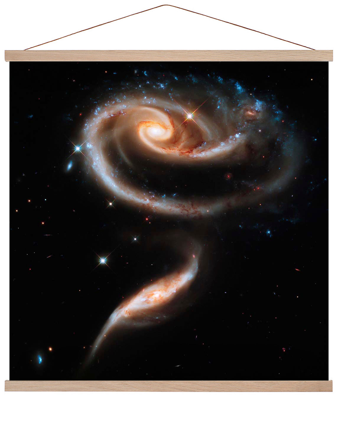 Rose der Galaxien von NASA