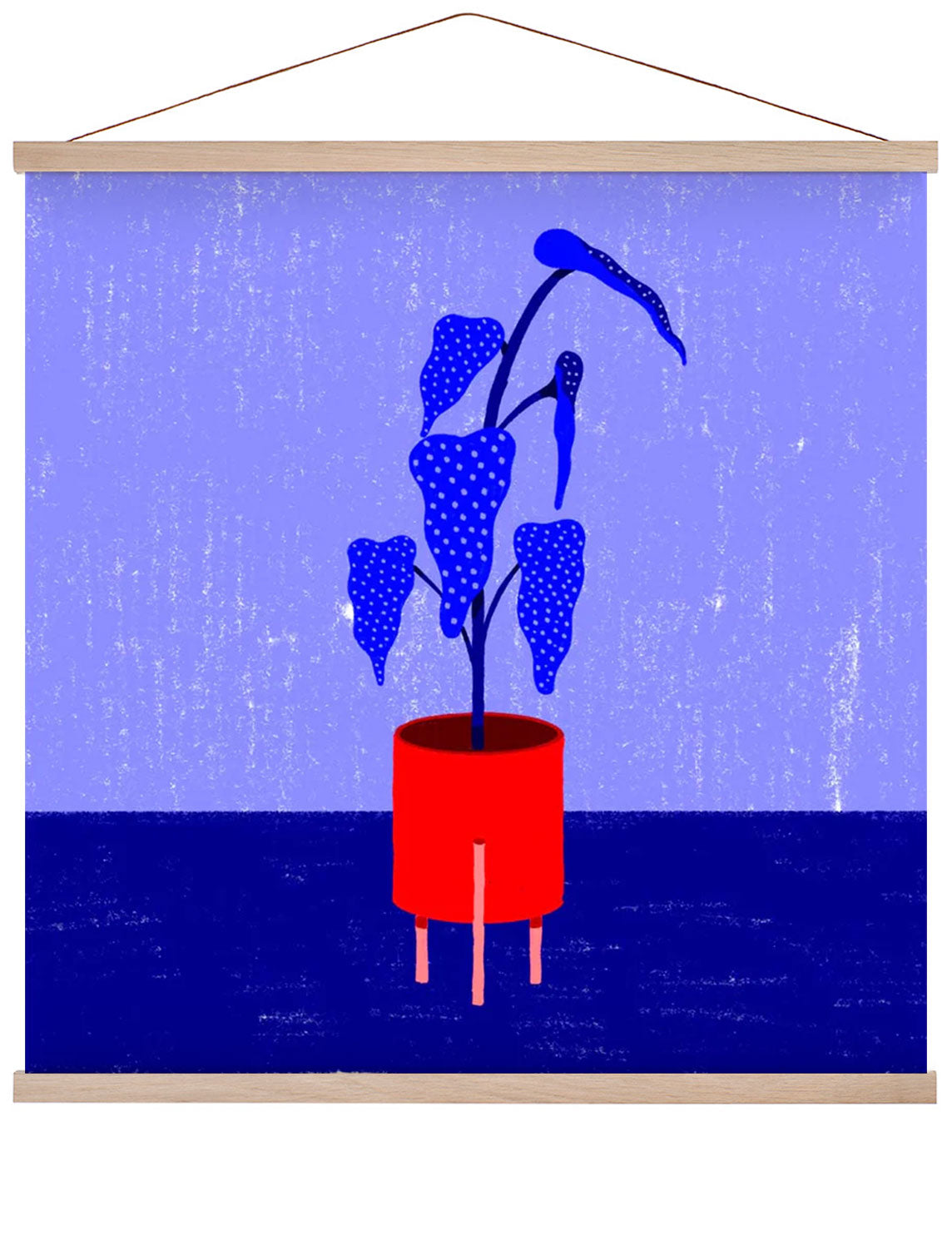 Begonia by Nicole Marra