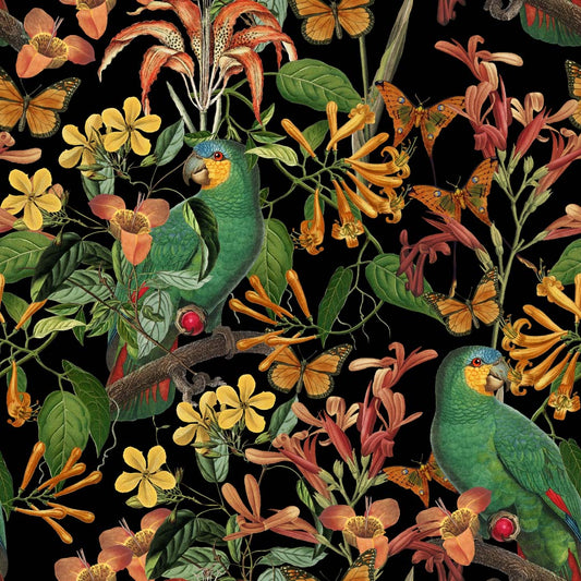 Tropical Parrots Black by Andrea Haase