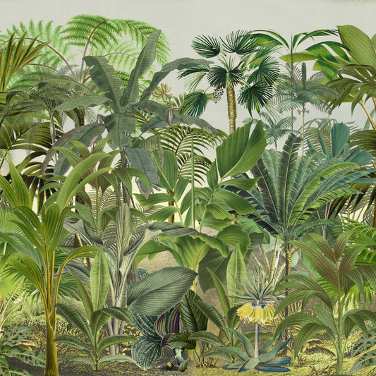 Tropical Landscape by Andrea Haase
