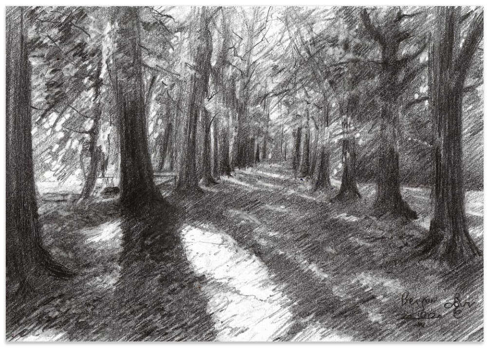 Bergen - 10-04-20 von Corné Akkers