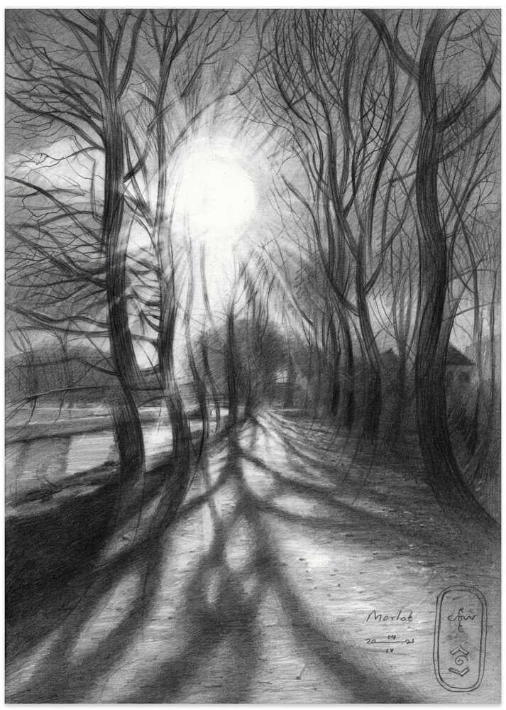 Marlot - 04-04-21 von Corné Akkers