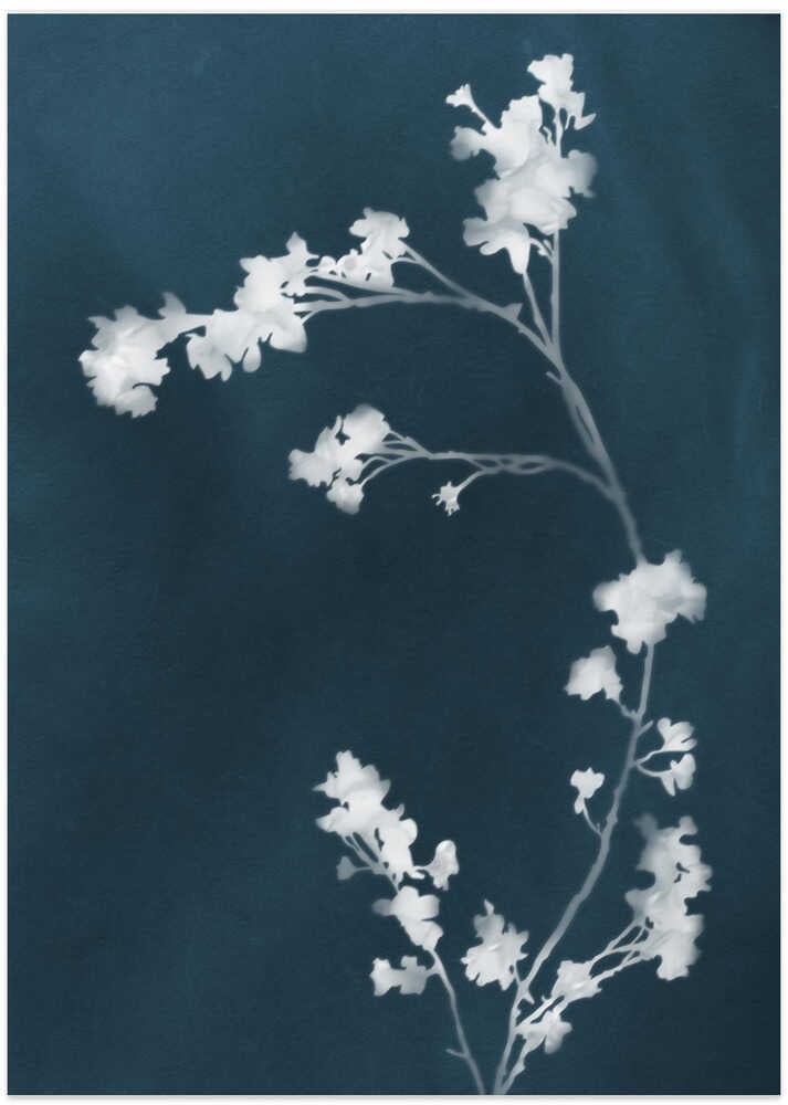 Monographie Blaue Blumen von amini54