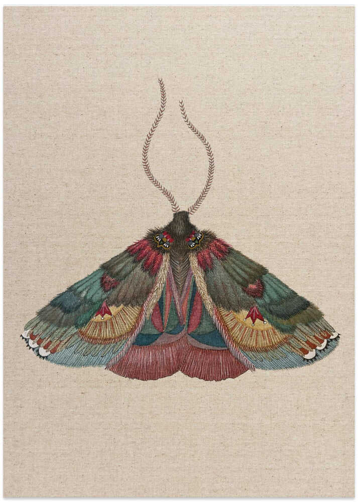 Zrmoth20 Print 70x100 Copyxx by ZAM.ROD