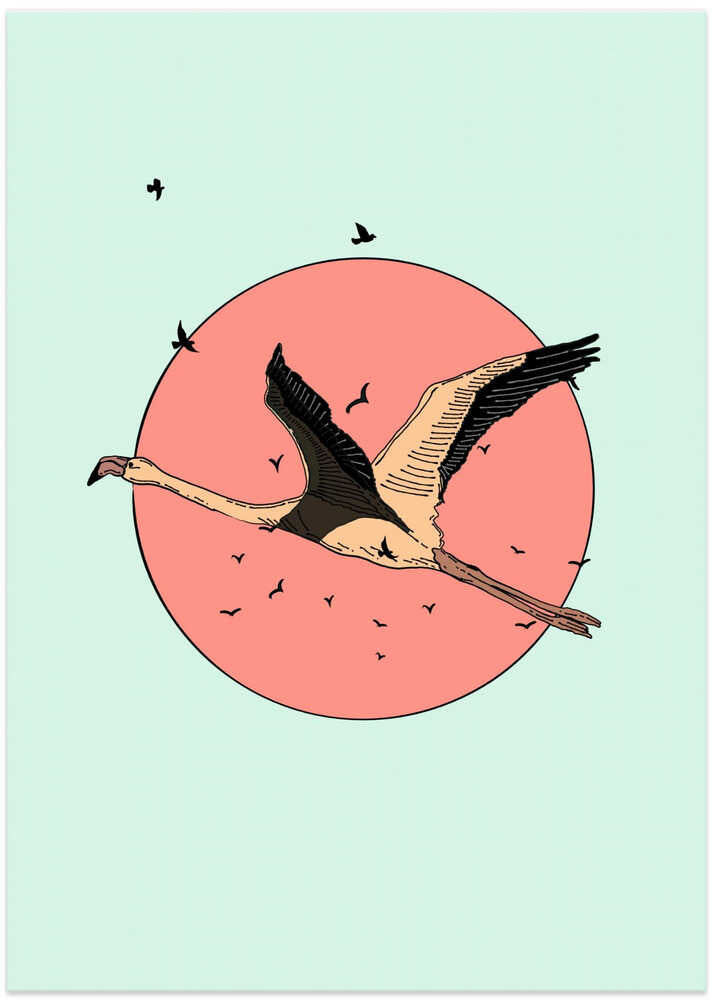 Flamingo In Flight by Nicholas