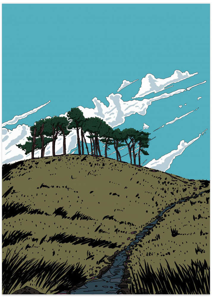 Schottische Hügellandschaft von Nicholas