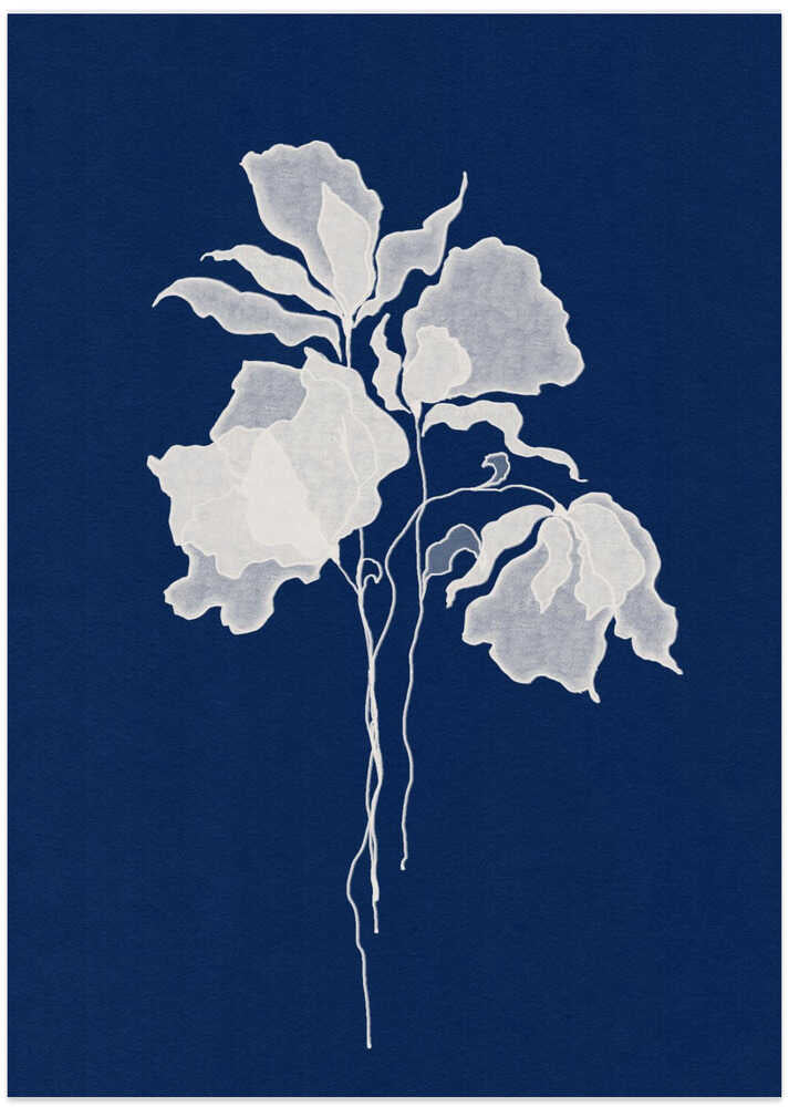 Delicate White Flower by Lena Refur