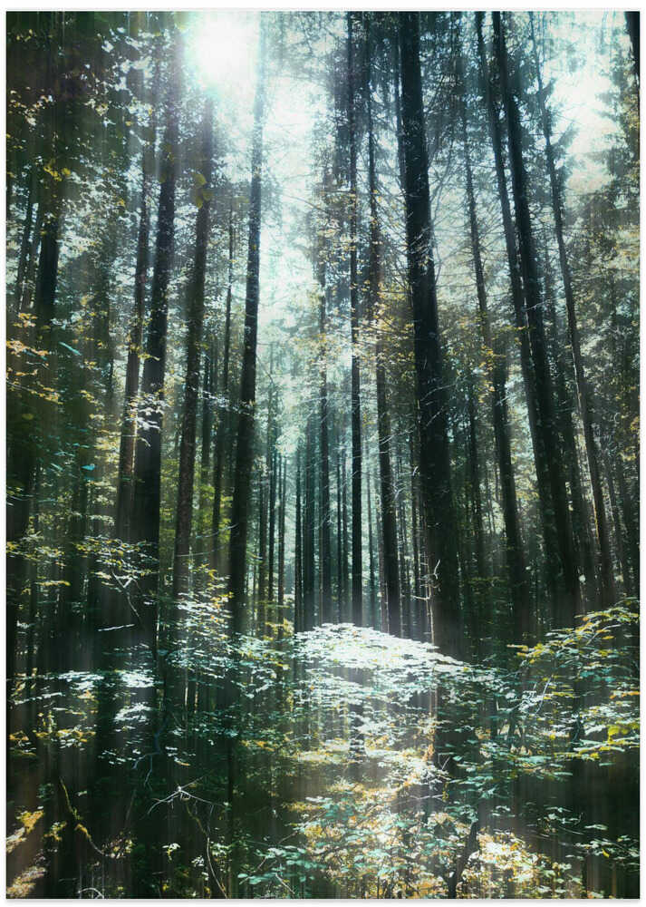 Stille von Angelo Cerantola