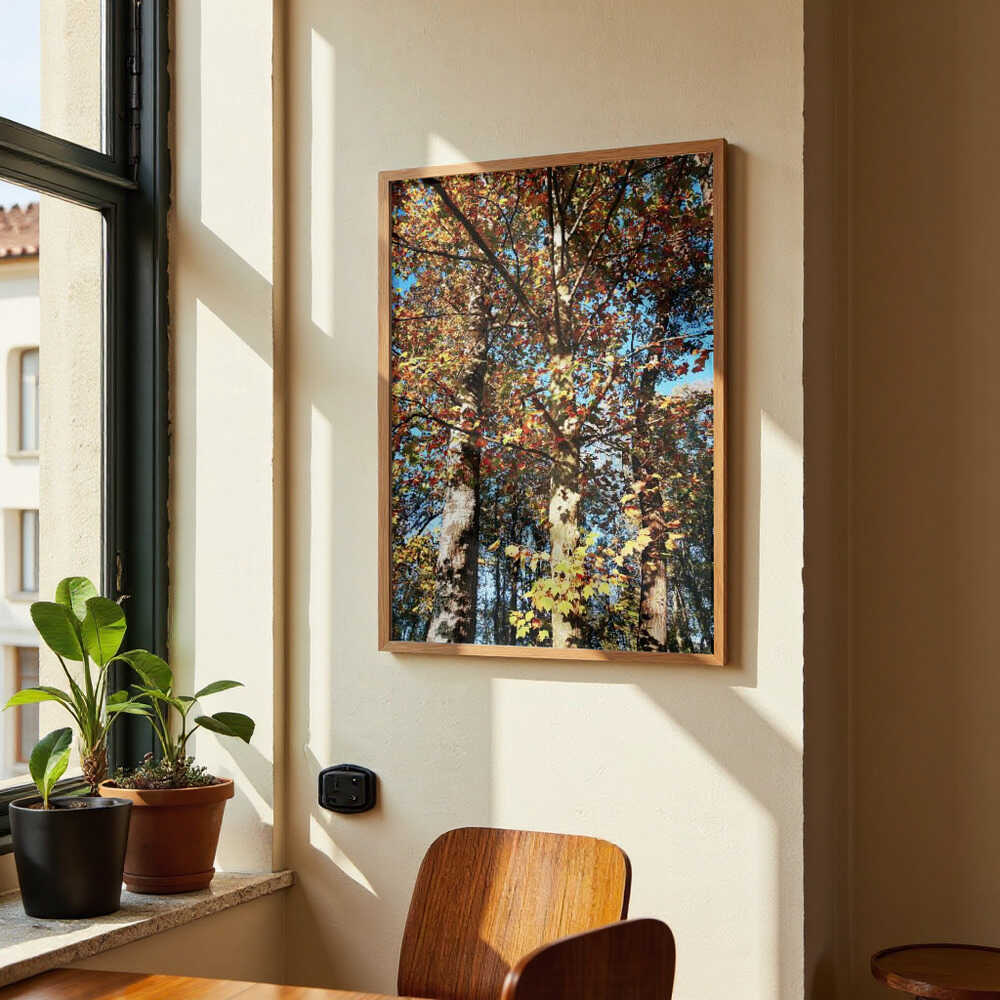 Ready To Fall von Angelo Cerantola