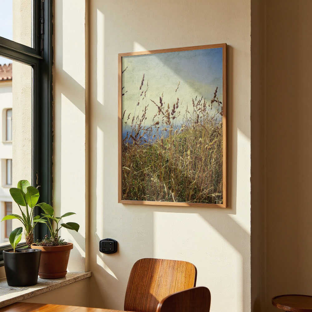 Berggras von Angelo Cerantola