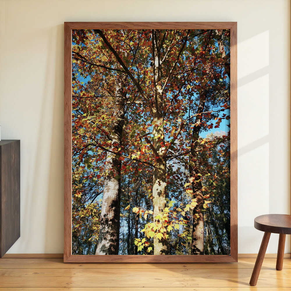 Ready To Fall von Angelo Cerantola