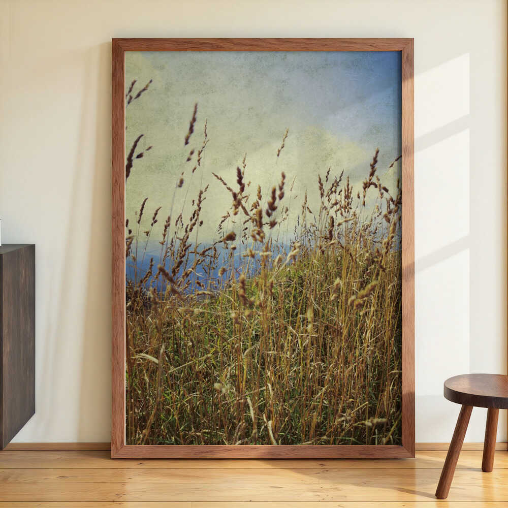 Berggras von Angelo Cerantola