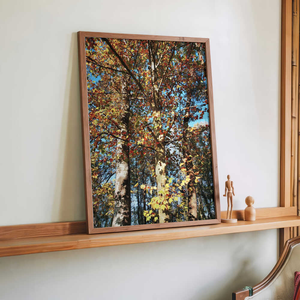 Ready To Fall von Angelo Cerantola