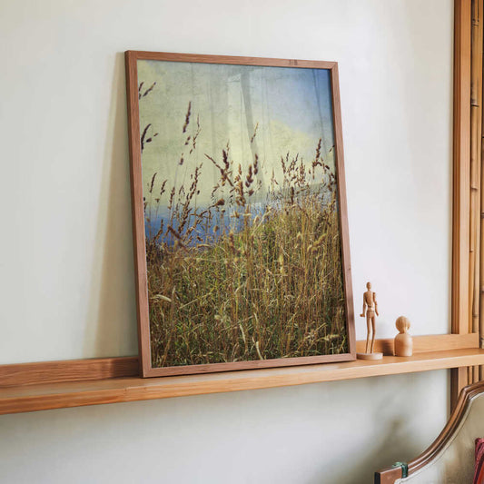 Berggras von Angelo Cerantola