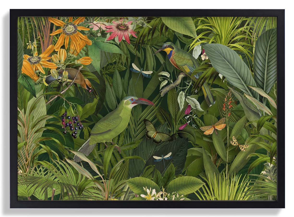 Tropische Mitternachts-Dschungelvögel von Andrea Haase