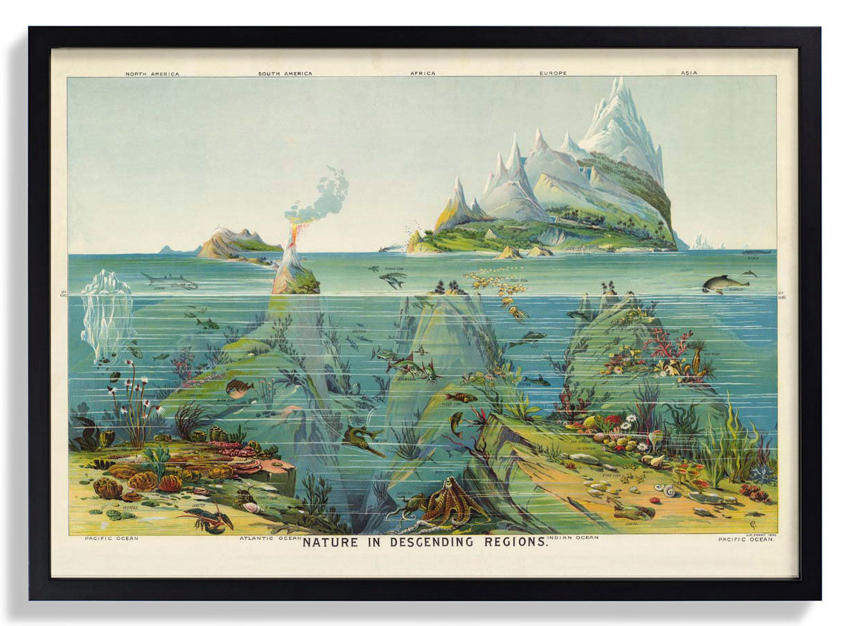 Natur in absteigenden Regionen Bildungsjahrgang