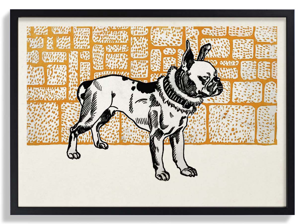 Pitbull Terrier von Moritz Jung