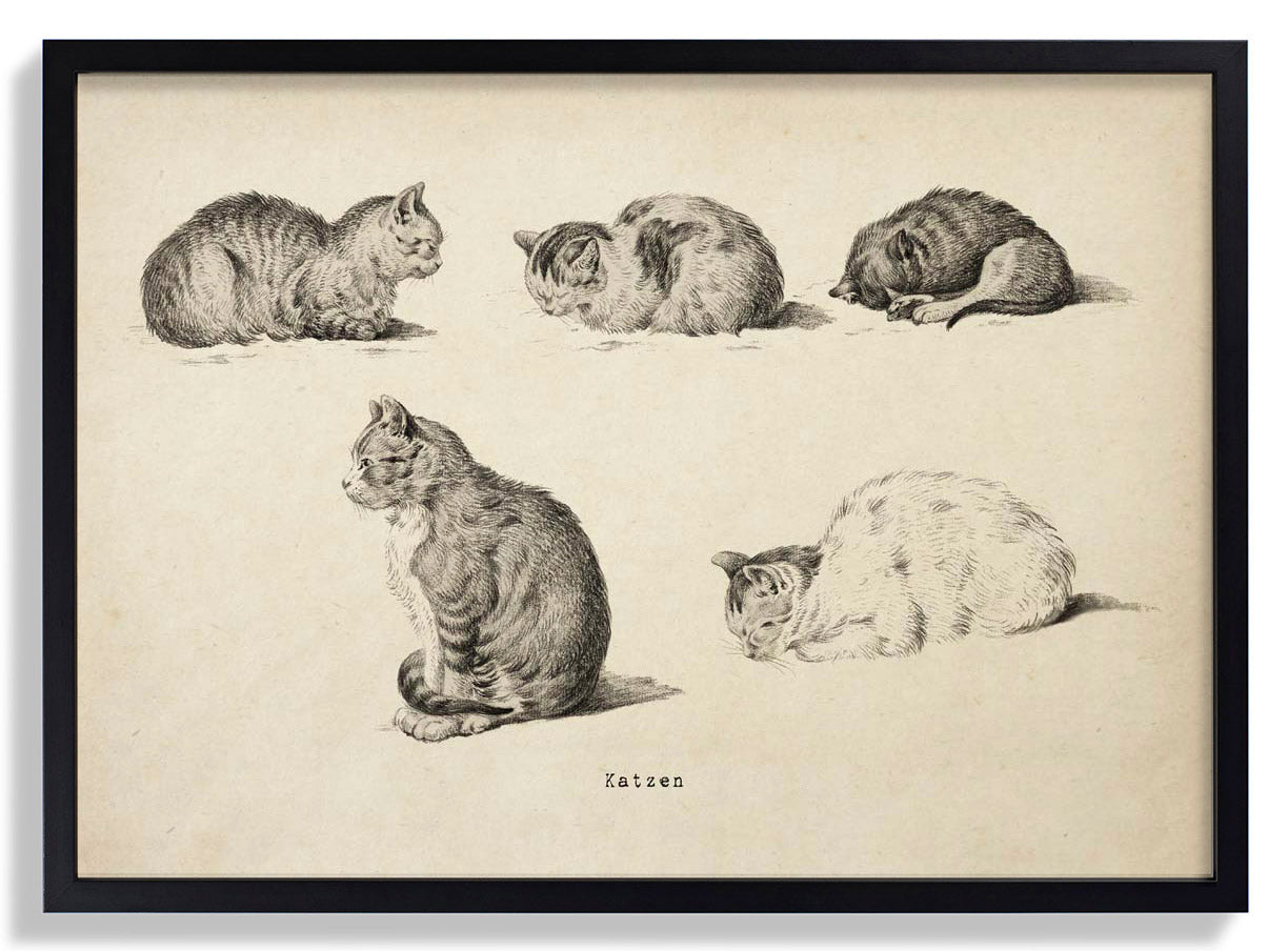 Antique Cats