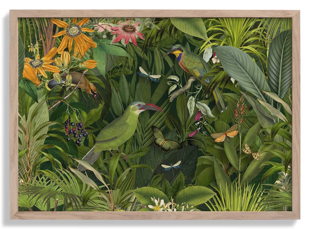 Tropical Midnight Jungle Birds by Andrea Haase
