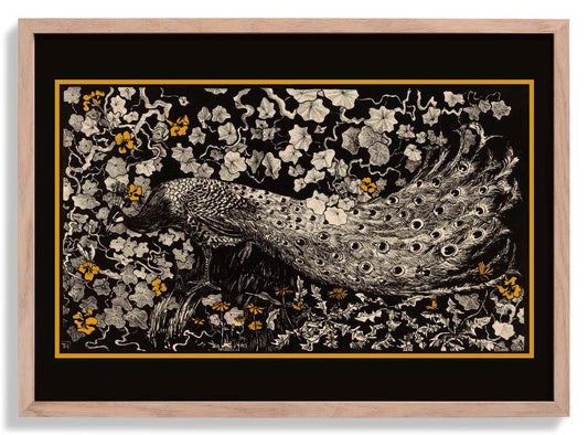 Vintage Black Peacock