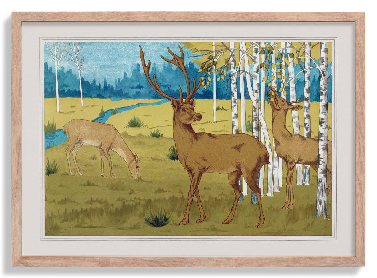 Deers in the Forest Poster