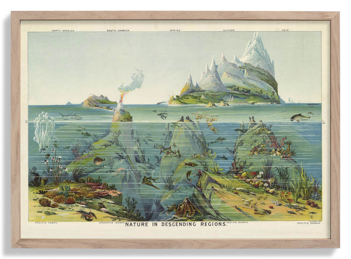 Nature in descending Regions Educational Vintage Chart