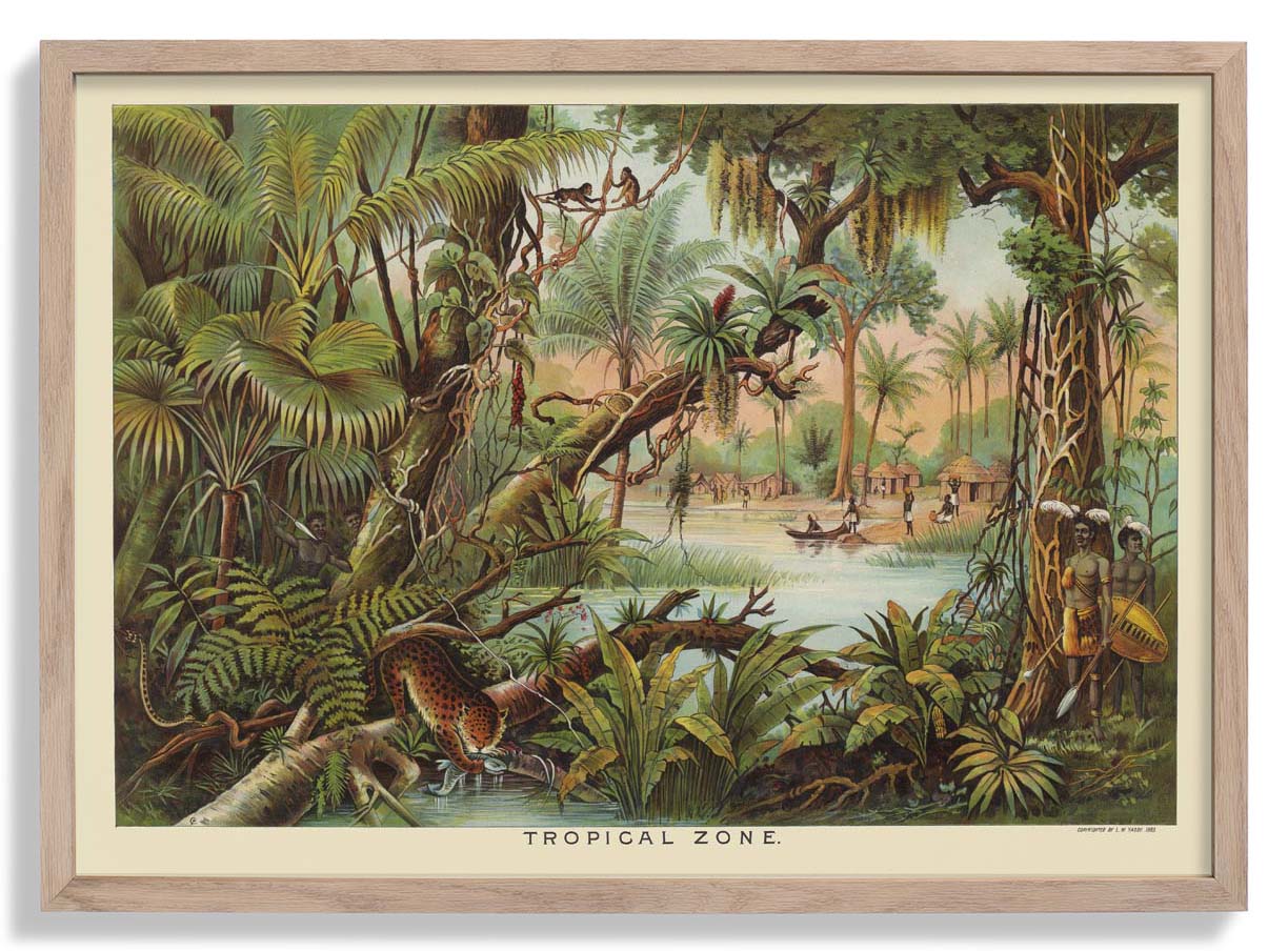 Tropical Zone Educational Vintage Poster