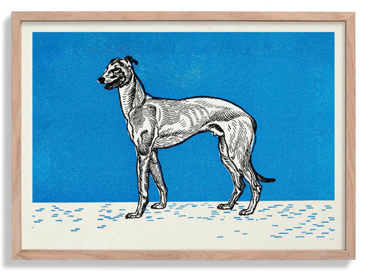 Greyhound by Moritz Jung