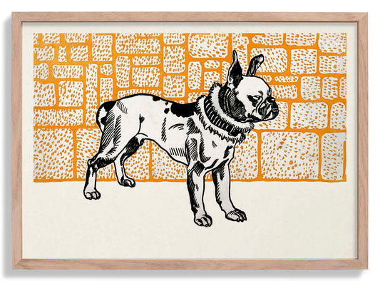 Pitbull Terrier by Moritz Jung