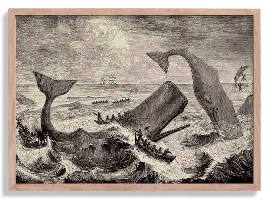 Scene Moby Dick Poster
