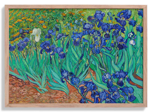 Irises by Van Gogh Art Poster