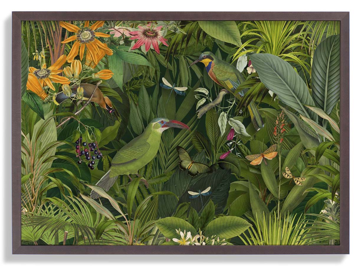 Tropische Mitternachts-Dschungelvögel von Andrea Haase