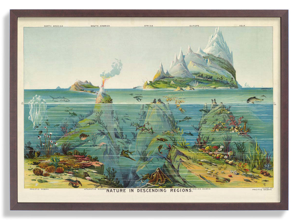 Natur in absteigenden Regionen Bildungsjahrgang