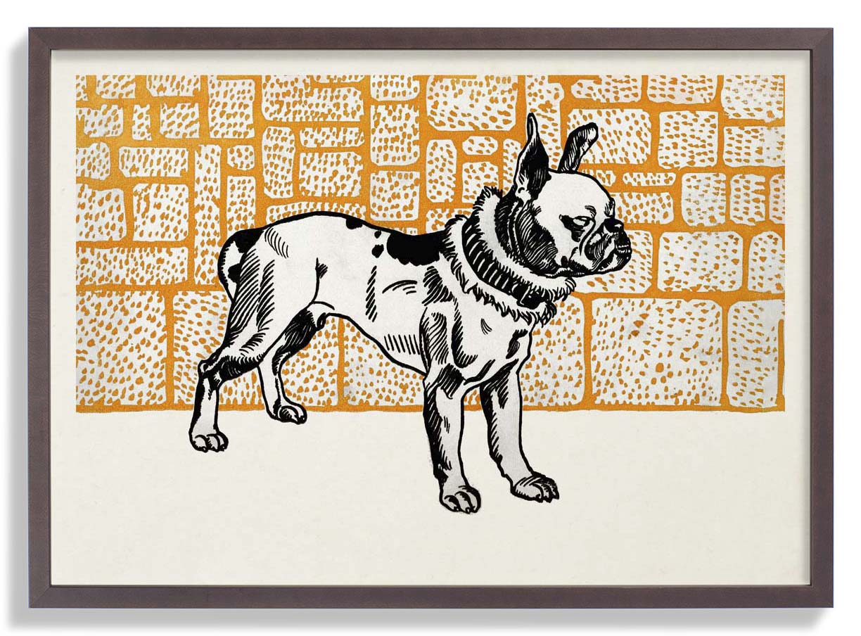 Pitbull Terrier von Moritz Jung