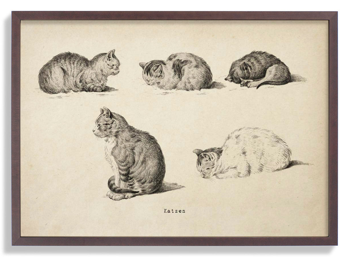 Antique Cats