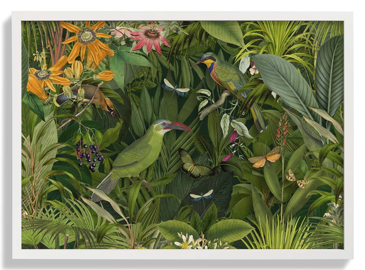 Tropische Mitternachts-Dschungelvögel von Andrea Haase