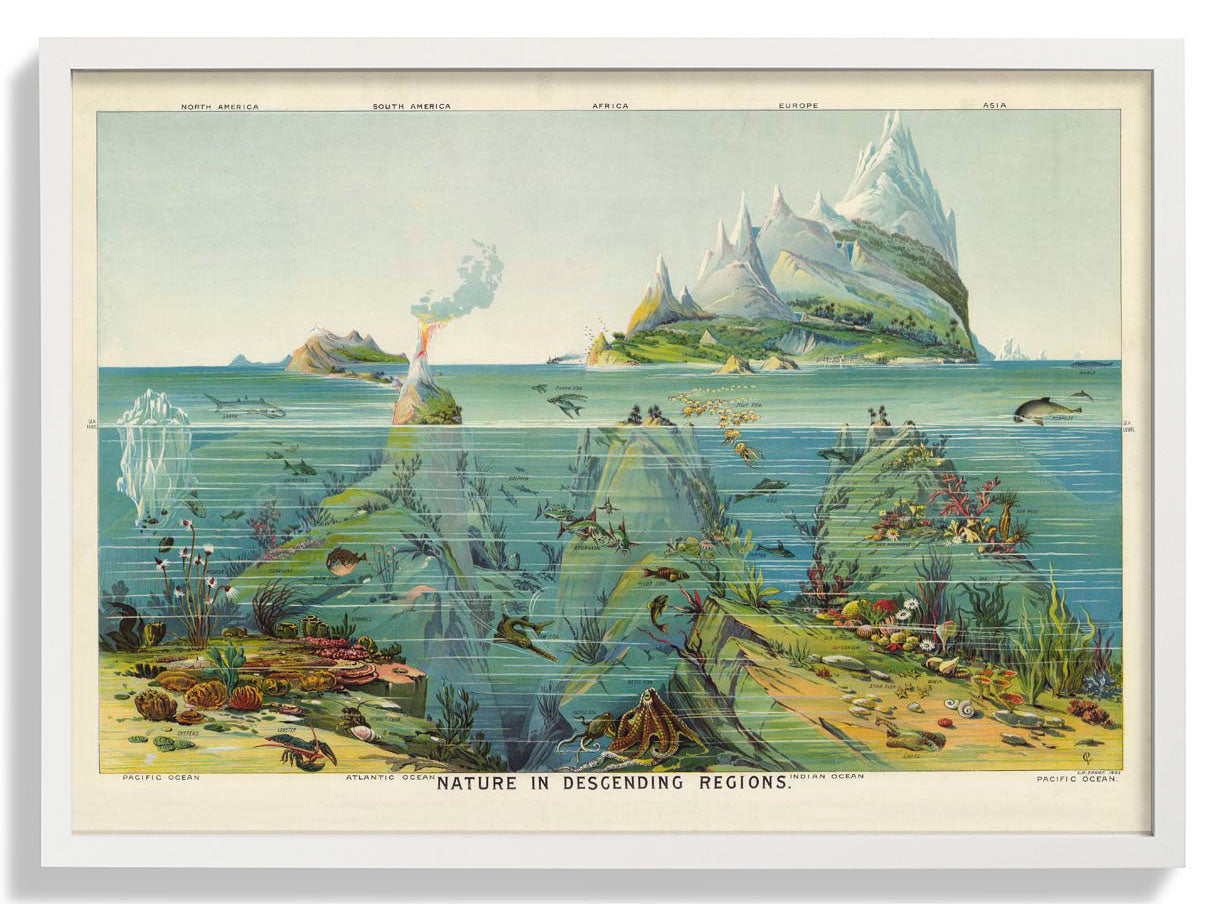 Natur in absteigenden Regionen Bildungsjahrgang