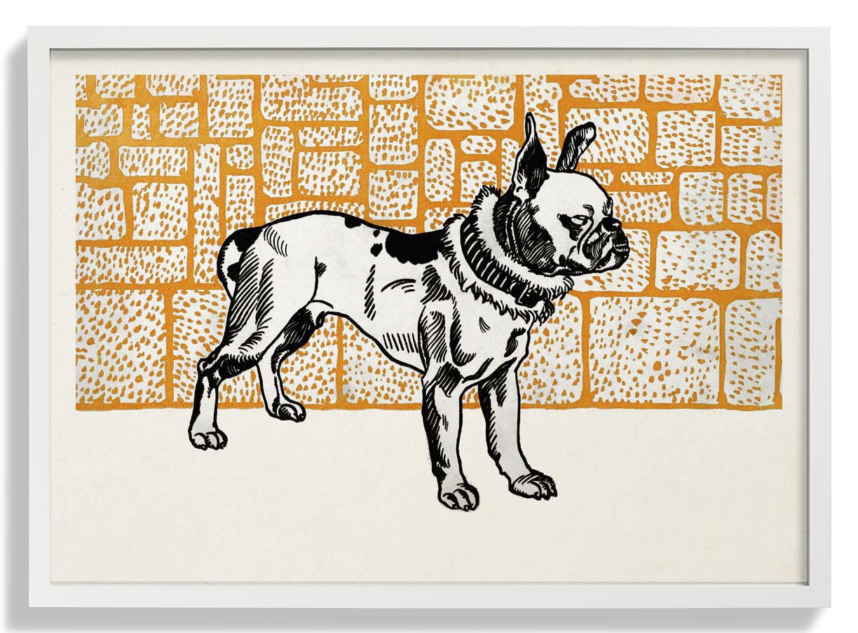 Pitbull Terrier von Moritz Jung