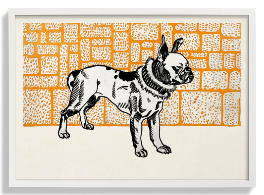 Pitbull Terrier von Moritz Jung