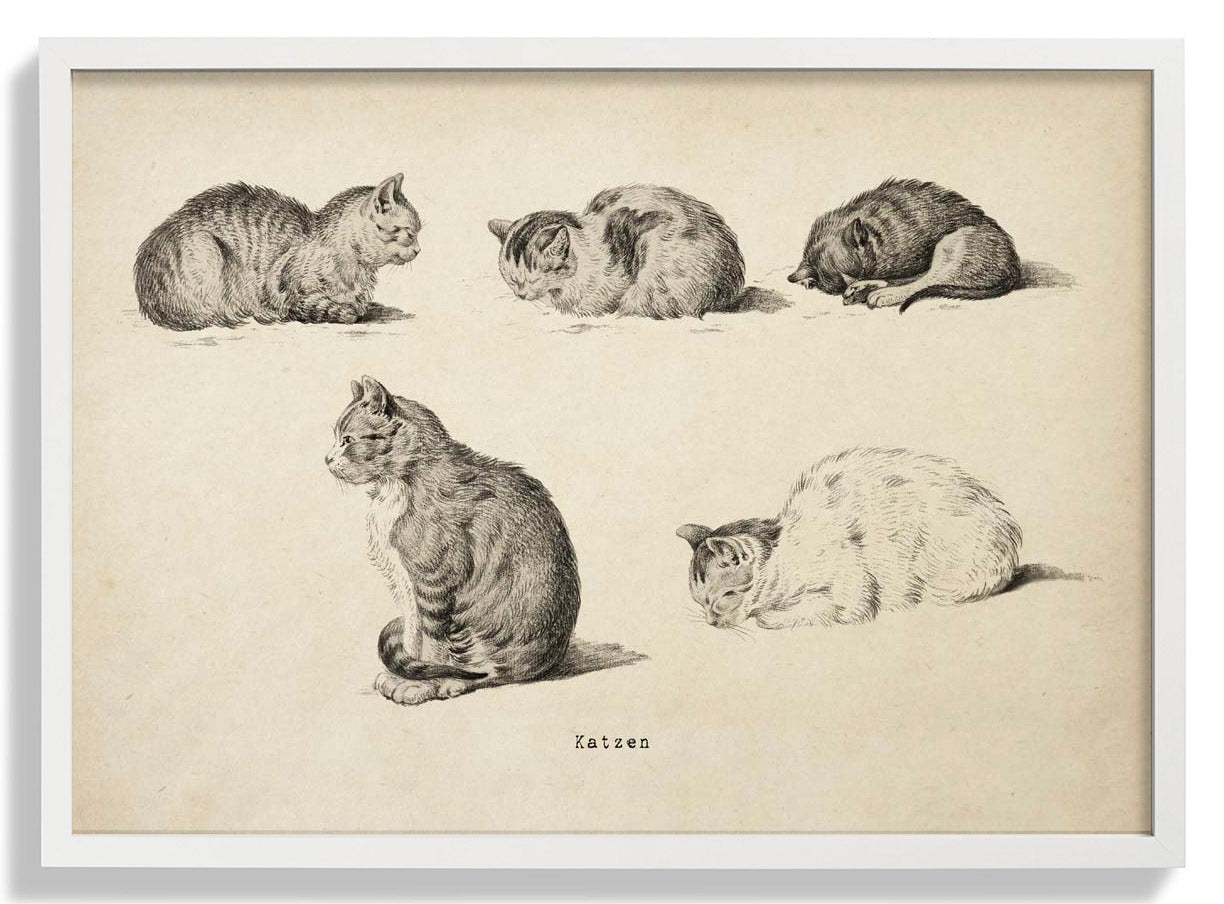 Antique Cats