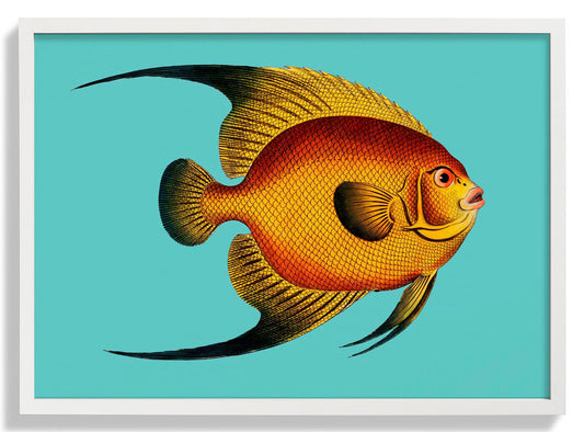 Türkisfarbener Fisch Poster