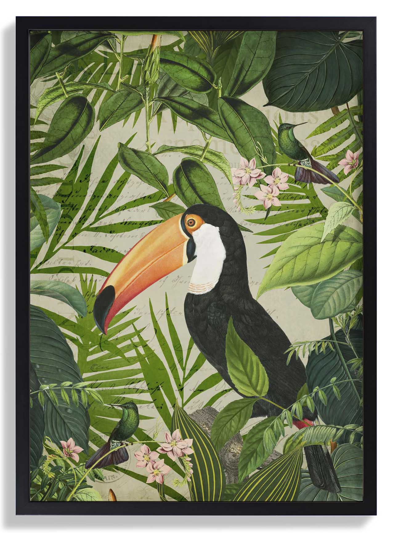 Jungle Toucan by Andrea Haase