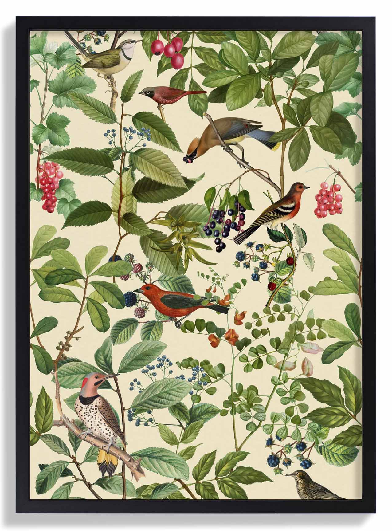 Birds And Berries by Andrea Haase